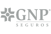 Seguros gnp